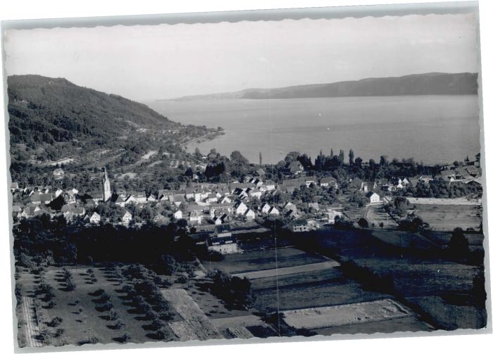 Ludwigshafen Bodensee Fliegeraufnahme