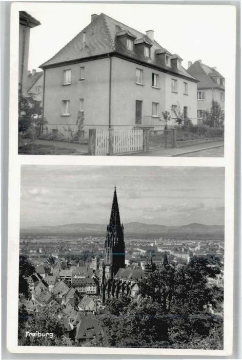 Freiburg Breisgau Münster