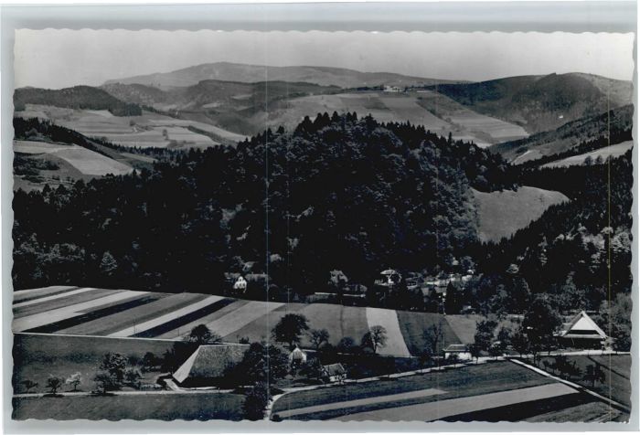 Wiesneck Buchenbach Ruine