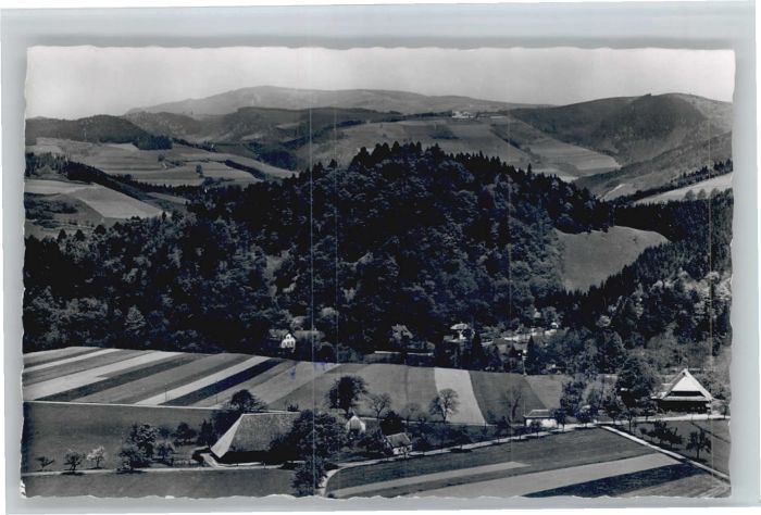 Wiesneck Buchenbach Ruine