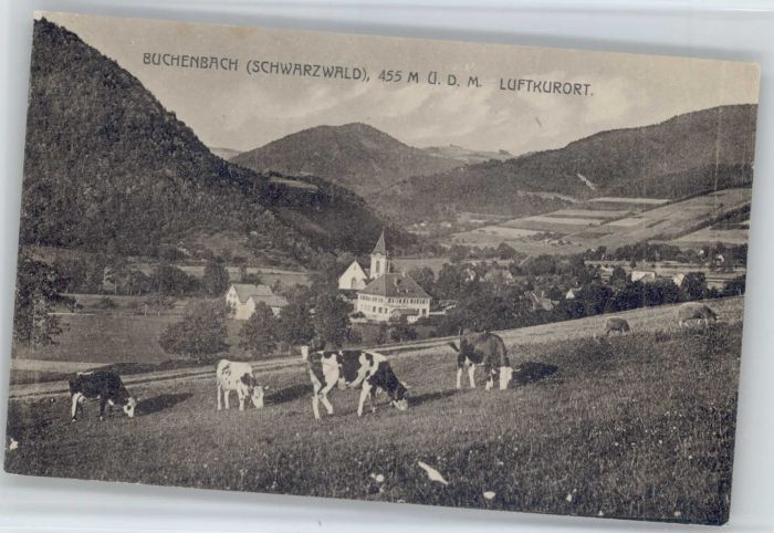 Buchenbach Breisgau Kühe