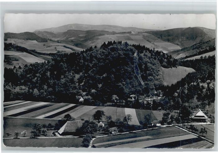 Wiesneck Buchenbach Ruine