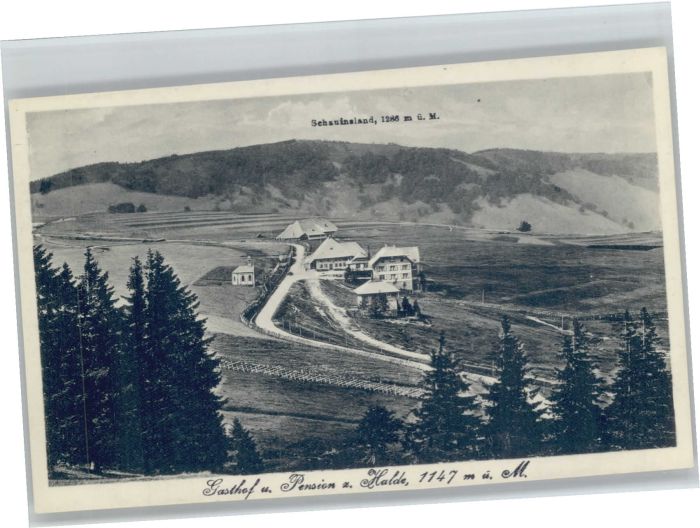 Schauinsland Pension zur Halde