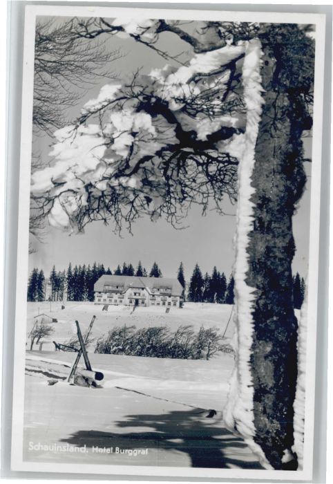 Kirchzarten Hotel Burggraf