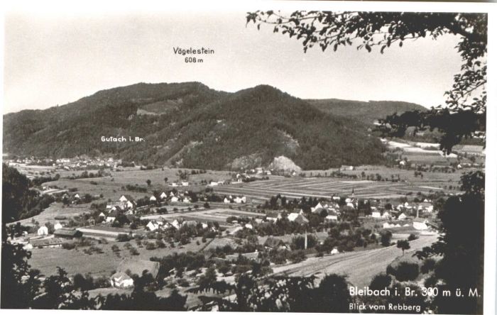 Bleibach Vögelestein