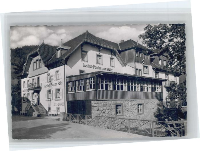 Elzach Oberprechtal Gasthof Pension Adler