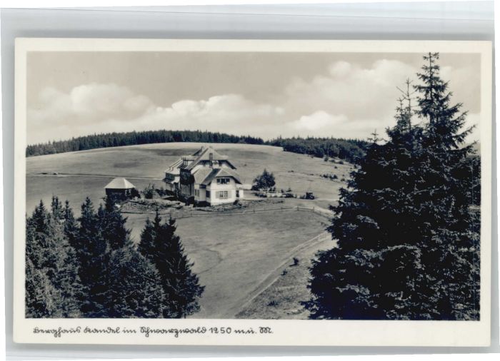 Kandel Waldkirch Breisgau