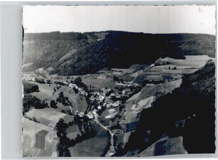 Oberprechtal Fliegeraufnahme