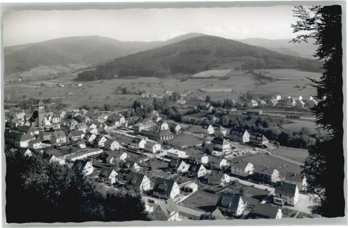 Elzach