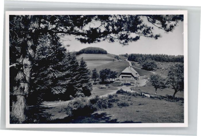 Oberprechtal Gasthaus Pension Landwassereck