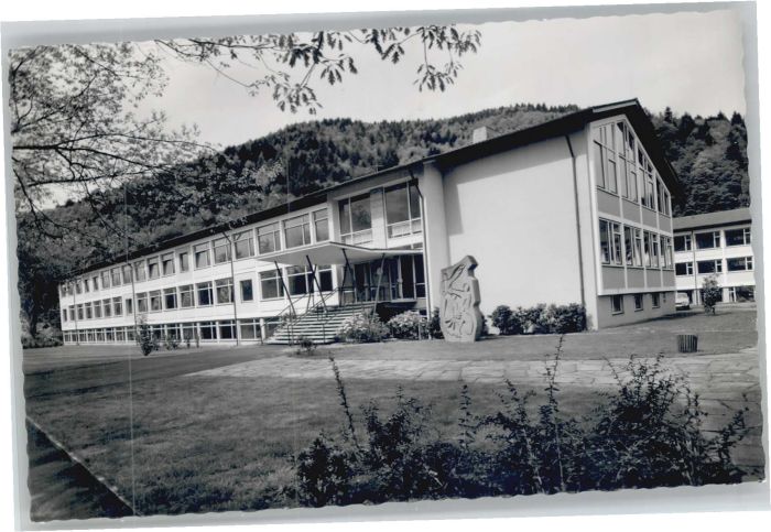 Waldkirch Breisgau Waldkirch Gewerbe Schule