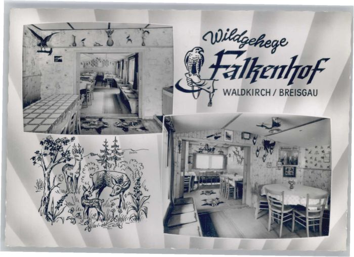 Waldkirch Breisgau Waldkirch Wildgehege  mit Falkenhof