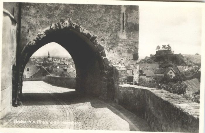 Breisach Rhein Breisach Eckartsberg