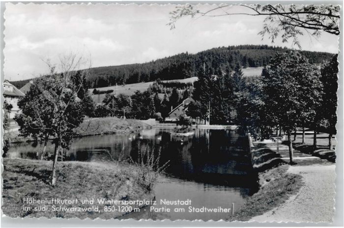 Neustadt Titisee Stadtweiher