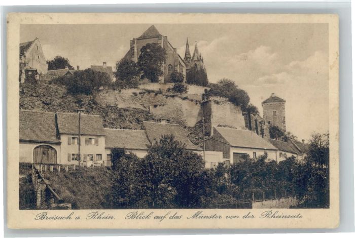 Breisach Rhein Breisach Münster