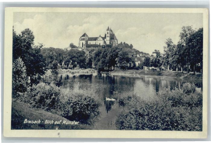 Breisach Rhein Breisach Münster