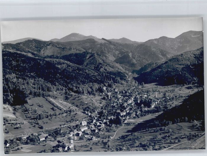 Sulzburg Fliegeraufnahme