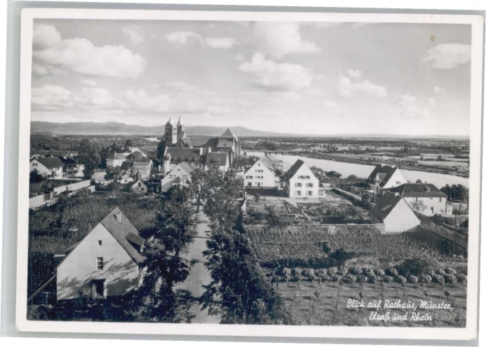 Breisach Rhein Breisach