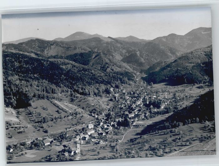 Sulzburg Fliegeraufnahme