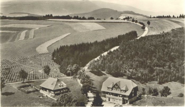 Furtwangen Goldener Rabe Fliegeraufnahme