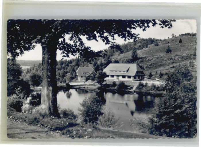 Wittenschwand Hotel Klosterweiherhof Haus Alpenblick