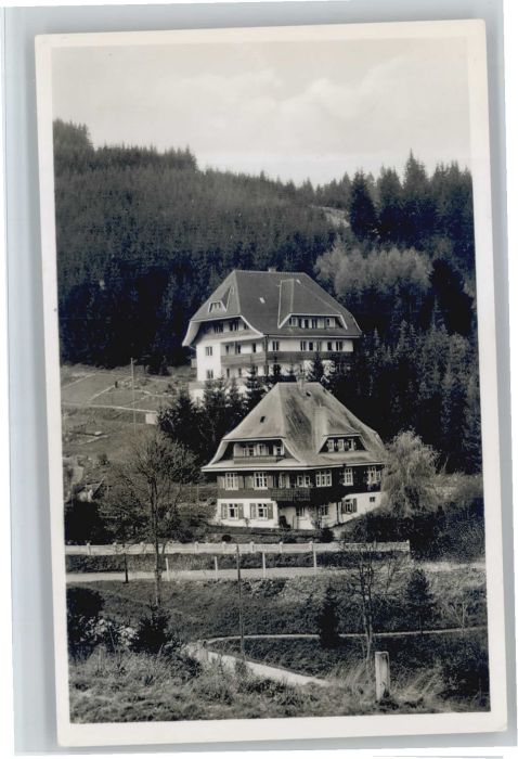 Neustadt Titisee Pension Haus Sonnhalde