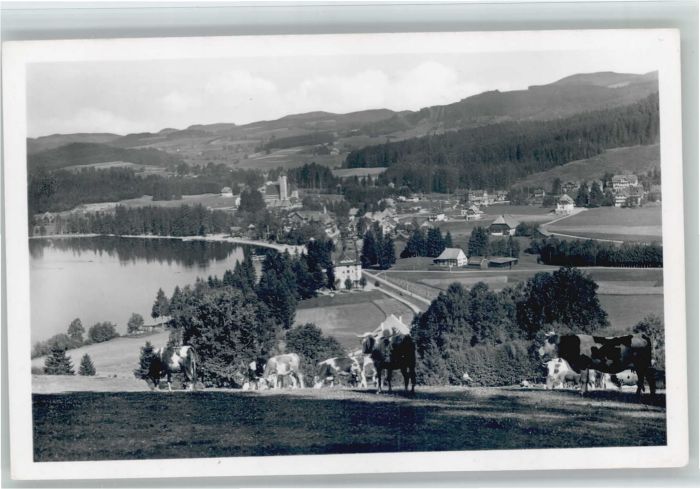 TITISEE Schwarzwald BW