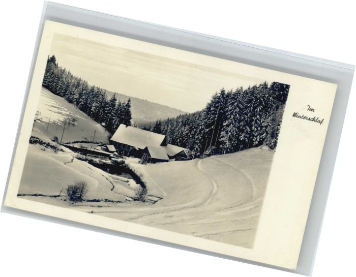 Falkau Villa Hosp Fremdenheim