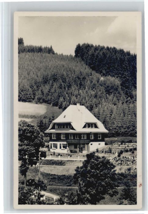 Neustadt Titisee Pension Haus Sonnhalde