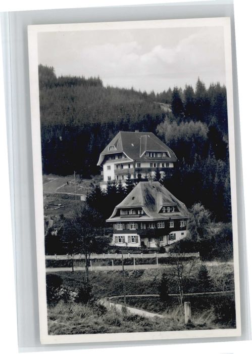 Neustadt Titisee Pension Haus Sonnhalde