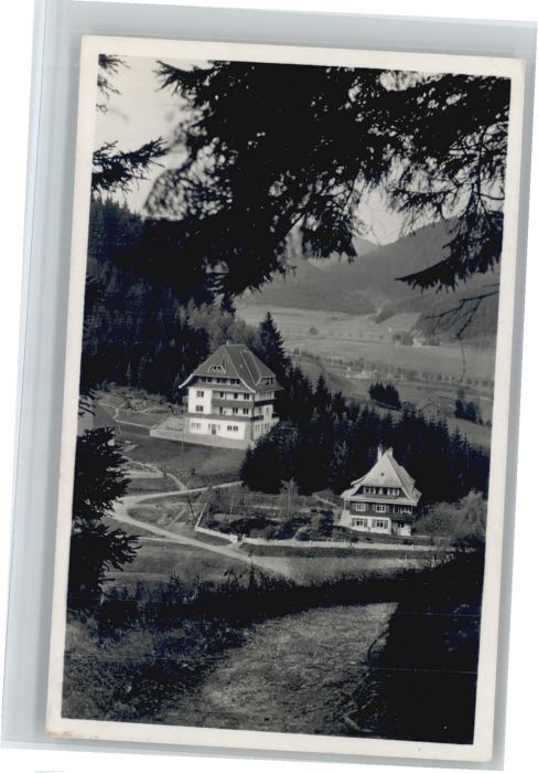 Neustadt Titisee Pension Haus Sonnhalde