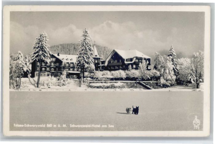 TITISEE Schwarzwald BW Schwarzwaldhotel