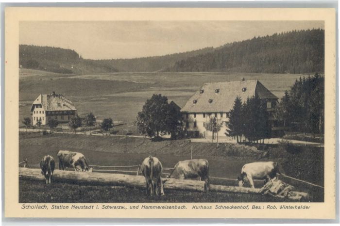 Schollach Eisenbach Kurhaus Schneckenhof