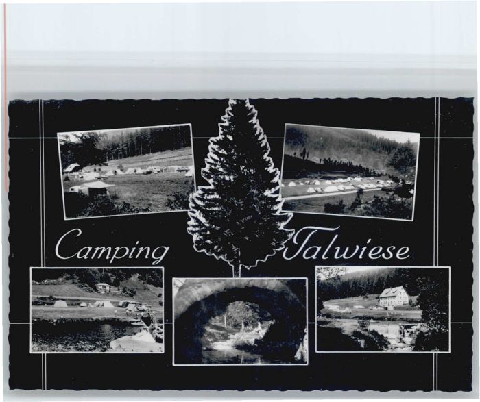 Schollach Eisenbach Campingplatz Talwiese