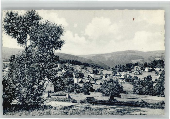 Haeusern Schwarzwald