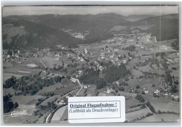 Haeusern Schwarzwald liegeraufnahme
