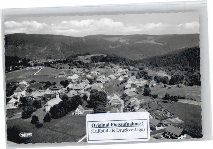 Haeusern Schwarzwald liegeraufnahme