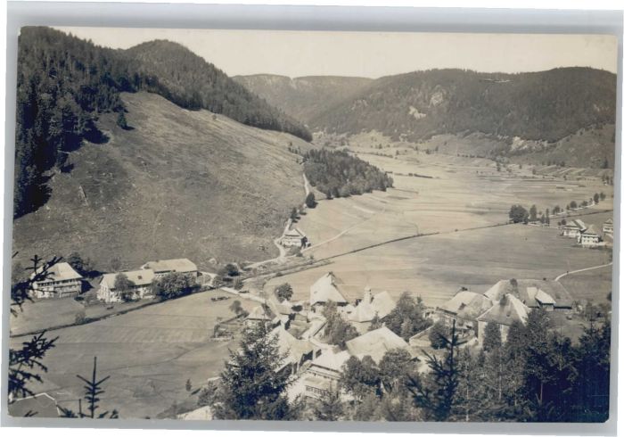 Menzenschwand Hinterdorf