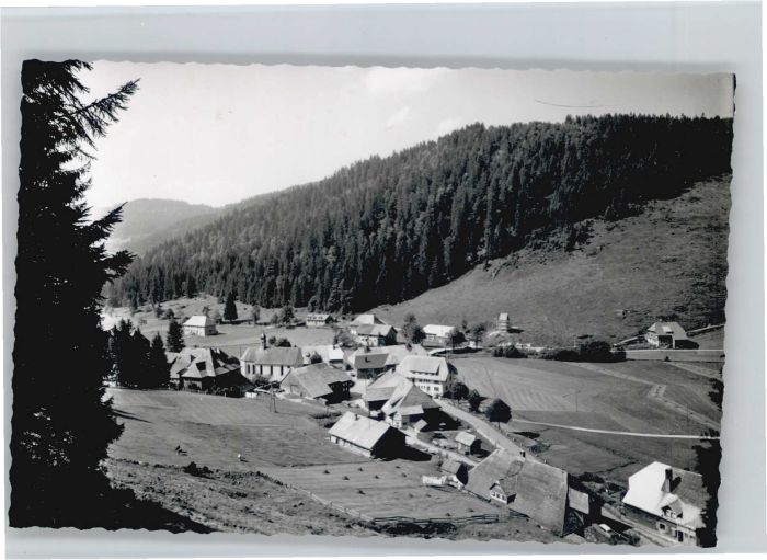 Menzenschwand Hinterdorf