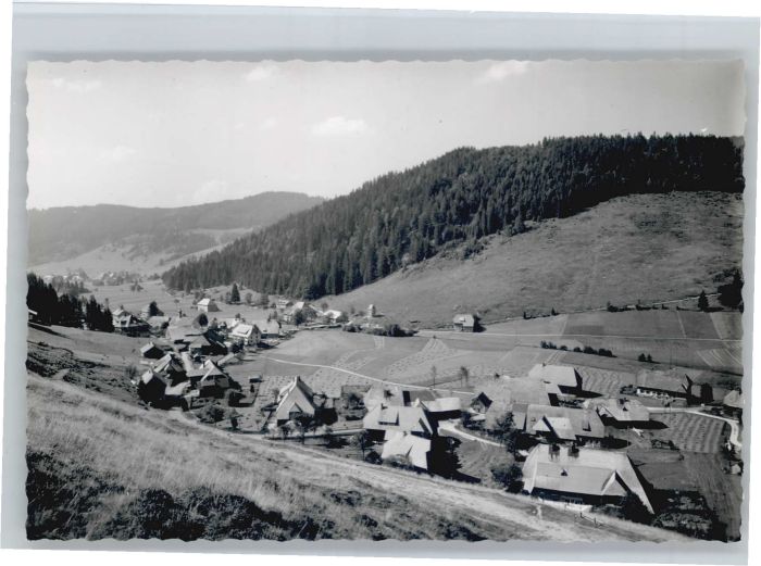 Menzenschwand Hinterdorf