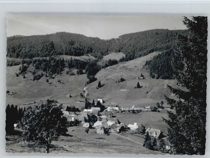 Menzenschwand Vorderdorf