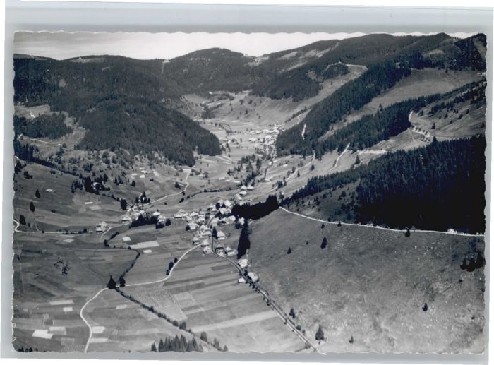Menzenschwand Fliegeraufnahme