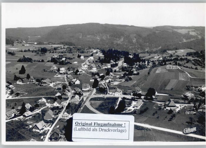 Haeusern Schwarzwald liegeraufnahme