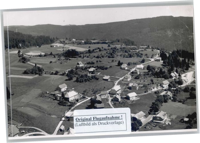 Haeusern Schwarzwald liegeraufnahme