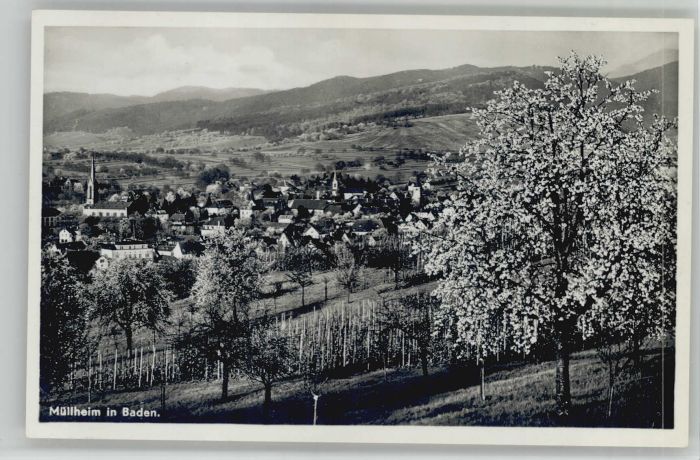 Muellheim Baden Müllheim