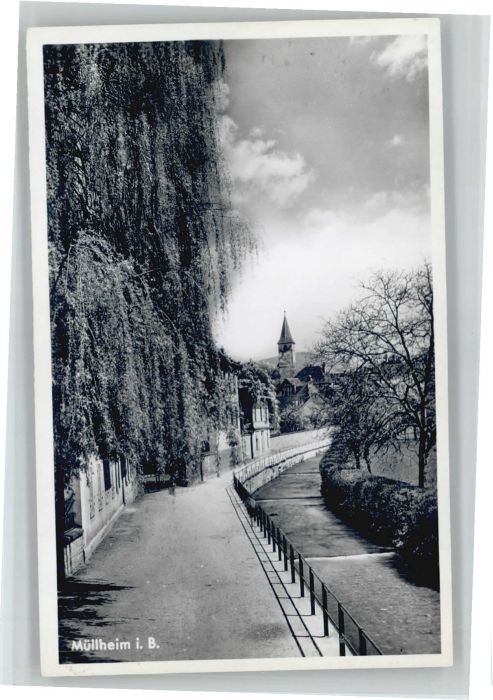 Muellheim Baden Müllheim