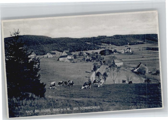 Saig Schwarzwald Saig