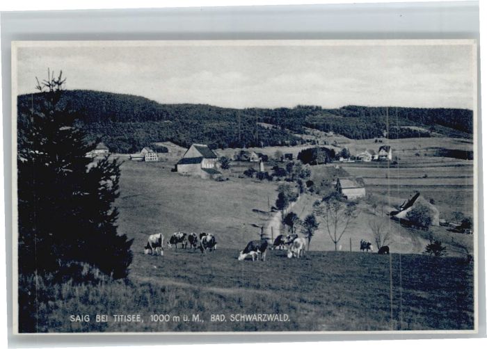 Saig Schwarzwald Saig