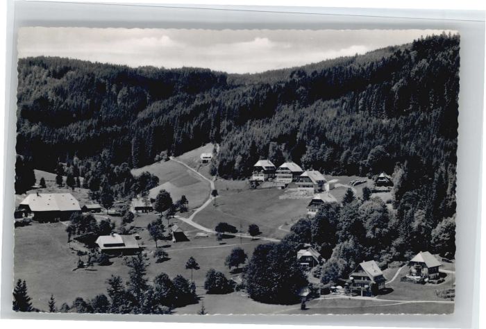 Hinterzarten Breisgau-Hochschwarzwald BW