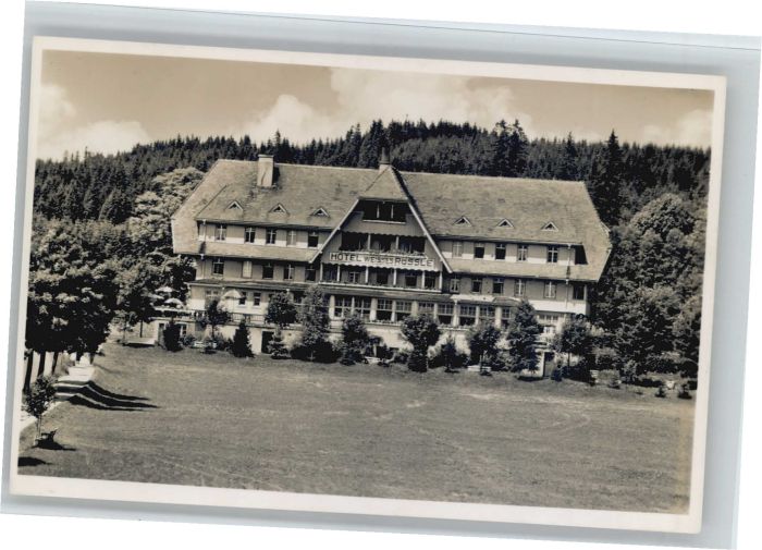 Hinterzarten Breisgau-Hochschwarzwald BW Hotel Weisses Roessle